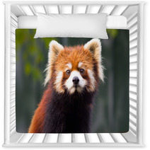 Red panda 1 Nursery Decor 94213310