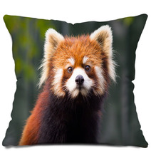 Red panda 1 Pillows 94213310