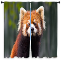 Red panda 1 Window Curtains 94213310