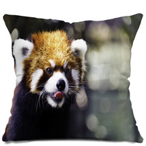 Red Panda 2 Pillows 35729718