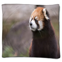 Red Panda 3 Blankets 99808253