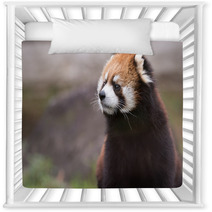 Red Panda 3 Nursery Decor 99808253