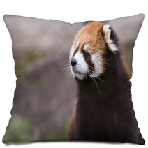 Red Panda 3 Pillows 99808253