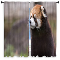 Red Panda 3 Window Curtains 99808253