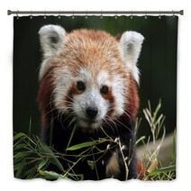 Red Panda (Ailurus Fulgens). Bath Decor 88934418