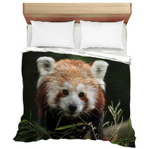 Red Panda (Ailurus Fulgens). Bedding 88934418