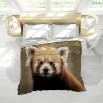 Red Panda (Ailurus Fulgens) Bedding 93445898