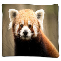 Red Panda (Ailurus Fulgens) Blankets 93445898