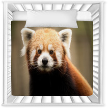 Red Panda (Ailurus Fulgens) Nursery Decor 93445898