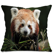 Red Panda (Ailurus Fulgens). Pillows 88934418