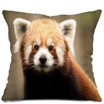 Red Panda (Ailurus Fulgens) Pillows 93445898