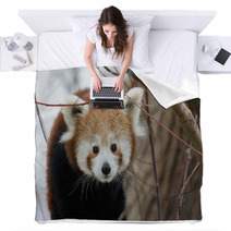 Red Panda Baby Blankets 99182980