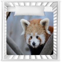 Red Panda Baby Nursery Decor 99182701