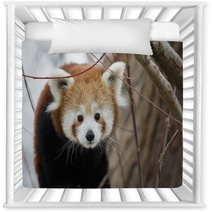 Red Panda Baby Nursery Decor 99182980