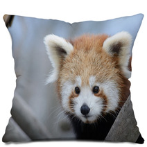 Red Panda Baby Pillows 99182701