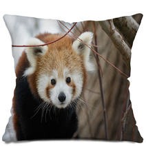 Red Panda Baby Pillows 99182980