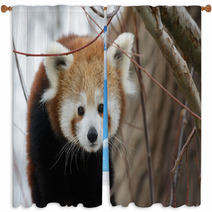 Red Panda Baby Window Curtains 99182980