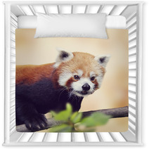 Red Panda Bear Soft Photograph Nursery Decor 94307988