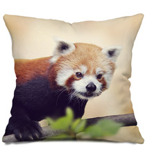Red Panda Bear Soft Photograph Pillows 94307988