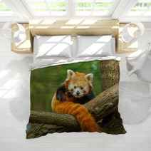 Red Panda Bedding 62730909