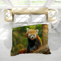 Red Panda Bedding 62730915