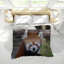 Red Panda Bedding 95658847