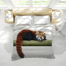 Red Panda Bedding 96103562