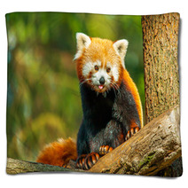 Red Panda Blankets 62730915
