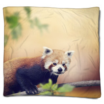 Red Panda Blankets 88161348