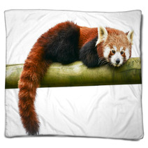 Red Panda Blankets 96102896