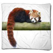 Red Panda Blankets 96103562