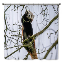 Red Panda Climbing In A Tree Bath Decor 83168191