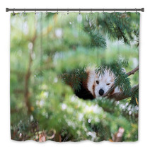 Red Panda Hiding On A Tree Bath Decor 98450109
