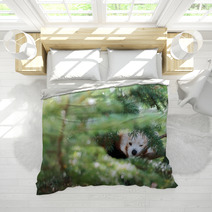 Red Panda Hiding On A Tree Bedding 98450109