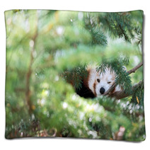 Red Panda Hiding On A Tree Blankets 98450109