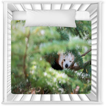 Red Panda Hiding On A Tree Nursery Decor 98450109
