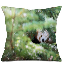 Red Panda Hiding On A Tree Pillows 98450109