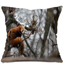 Red Panda In Snow Pillows 97498388