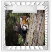 Red Panda Nursery Decor 101069914