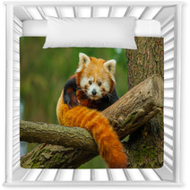 Red Panda Nursery Decor 62730909