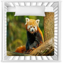 Red Panda Nursery Decor 62730915