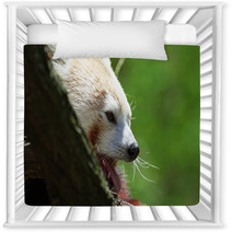 Red Panda. Nursery Decor 88773462