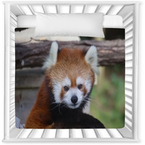 Red Panda Nursery Decor 95658847