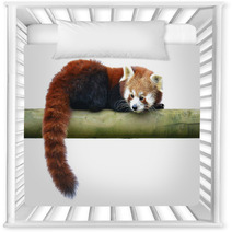 Red Panda Nursery Decor 96103562