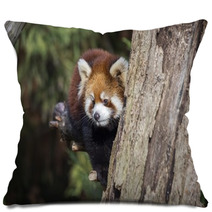 Red Panda Pillows 101069914