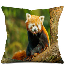 Red Panda Pillows 62730915