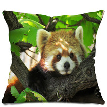 Red Panda Pillows 87760471