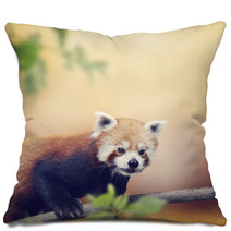 Red Panda Pillows 88161348
