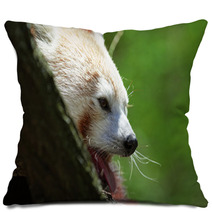 Red Panda. Pillows 88773462