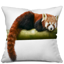 Red Panda Pillows 96102896